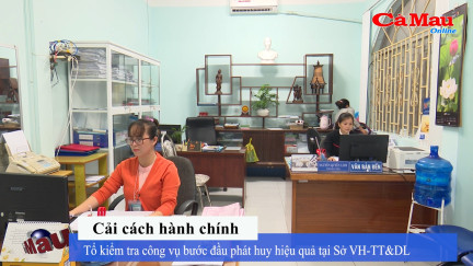 Bản tin Cải cách hành chính ngày 20 tháng 1 năm 2019