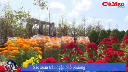 Chương trình 30 Tết Kỷ Hợi 2019