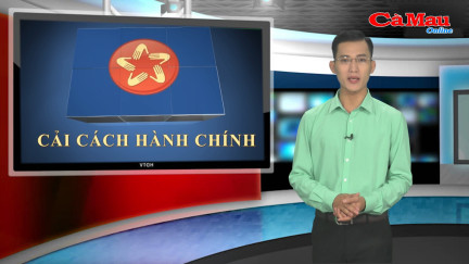 Bản tin Cải cách hành chính ngày 10 tháng 3 năm 2019