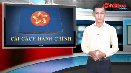 Bản tin Cải cách hành chính ngày 20 tháng 3 năm 2019