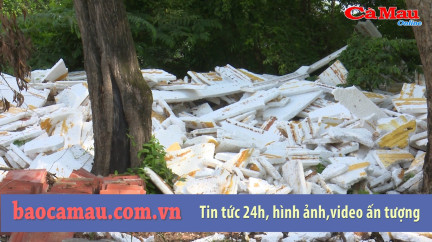 Bản tin Cà Mau / 7, ngày 20 tháng 05 năm 2019