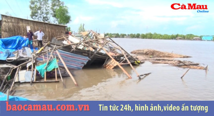 Bản tin Cà Mau / 7, ngày 10 tháng 06 năm 2019