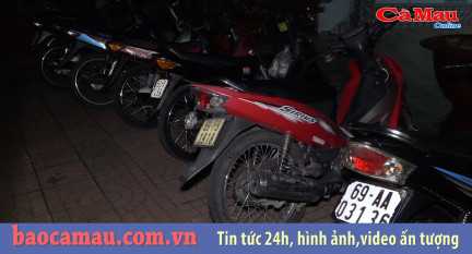 Bản tin Cà Mau / 7, ngày 17 tháng 06 năm 2019