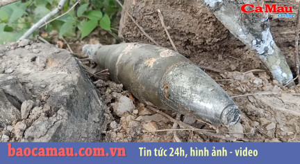 Bản tin Cà Mau / 7, ngày 15 tháng 07 năm 2019