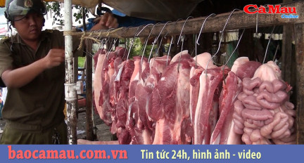 Cà Mau: Tịch thu, tiêu hủy 72kg thịt heo chưa qua kiểm dịch