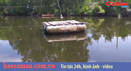 Bản tin Cà Mau / 7, ngày 29 tháng 07 năm 2019