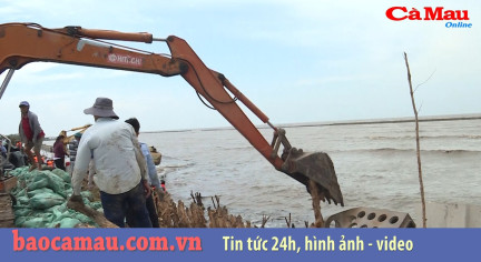 Bản tin Cà Mau / 7, ngày 5 tháng 08 năm 2019