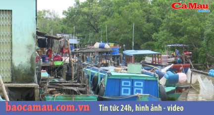 Cư dân cửa biển Cái Đôi Vàm chật vật ứng phó triều cường