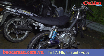 Bản tin Cà Mau / 7, ngày 12 tháng 08 năm 2019