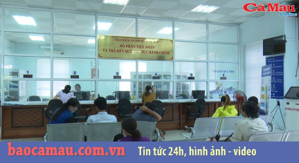 Bản tin chuyên đề BHXH ngày 15 tháng 8 năm 2019