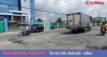 Bản tin Cà Mau / 7, ngày 19 tháng 08 năm 2019