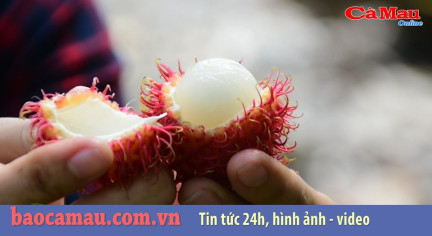 Bản tin báo Cà Mau điện tử ngày 30 tháng 08 năm 2019