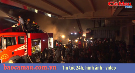 Bản tin Cà Mau / 7, ngày 2 tháng 09 năm 2019