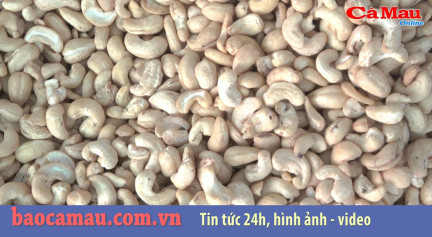 Bản tin báo Cà Mau điện tử, ngày 6 tháng 09 năm 2019