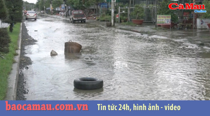 Cà Mau: ám ảnh đường Nguyễn Trãi ngày mưa