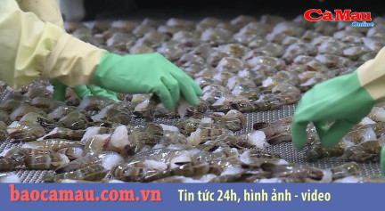 Bản tin Cải cách hành chính ngày 20 tháng 9 năm 2019