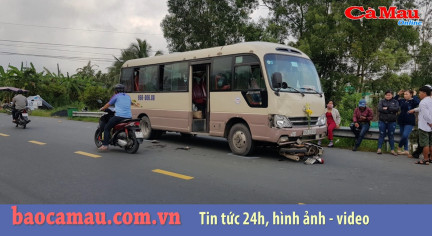 Bản tin Cà Mau / 7, ngày 30 tháng 09 năm 2019