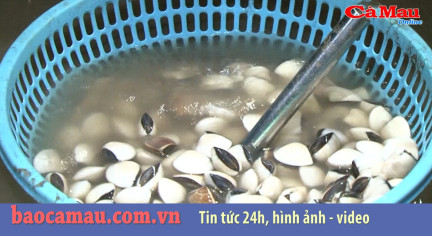 Bản tin báo Cà Mau điện tử ngày 4 tháng 10 năm 2019