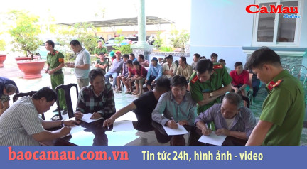 Bản tin Cà Mau / 7, ngày 14 tháng 10 năm 2019