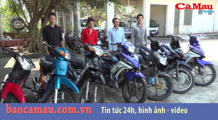 Cà Mau:Triệt xóa nhóm chuyên trộm và tiêu thụ xe mô tô tại địa bàn nông thôn