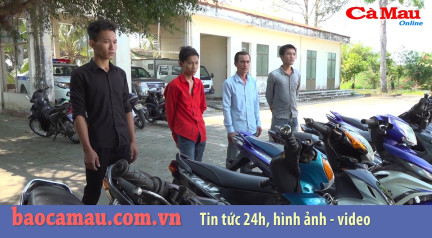 Bản tin Cà Mau / 7, ngày 28 tháng 10 năm 2019