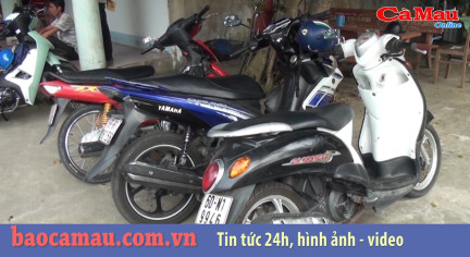 Bản tin Cà Mau / 7, ngày 4 tháng 11 năm 2019