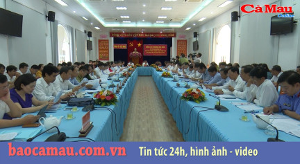 Phó Thủ tướng Thường trực Chính phủ Trương Hòa Bình làm việc tại Cà Mau