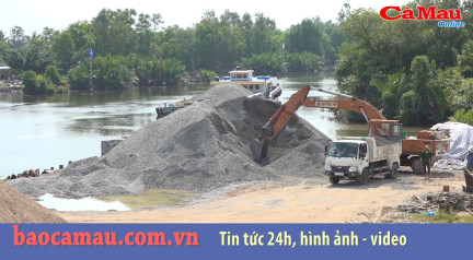 Bản tin Cà Mau / 7, ngày 25 tháng 11 năm 2019