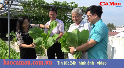 Bản tin báo Cà Mau điện tử ngày 29 tháng 11 năm 2019