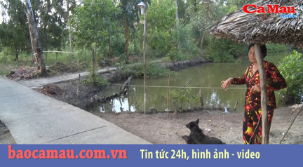 Bản tin báo Cà Mau điện tử ngày 27 tháng 12 năm 2019