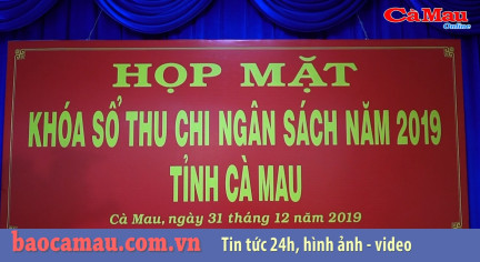 Cà Mau: Năm 2019, thu ngân sách Nhà nước vượt dự toán 1.084 tỷ đồng