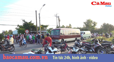 Cà Mau: Xóa liên tiếp 3 tụ điểm đá gà ăn trực tuyến