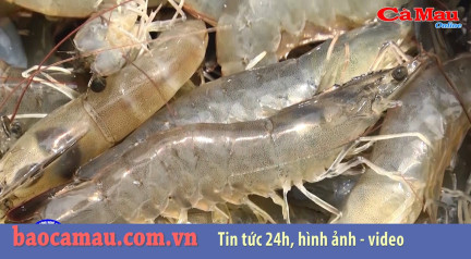 Năm 2020, thực hiện 6 đề tài dự án nghiên cứu khoa học và phát triển công nghệ cấp bộ