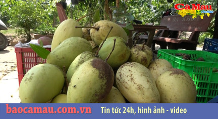 Chương trình 30 Tết Canh Tý 2020