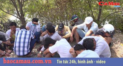 Cà Mau: Bắt quả tang nhiều đối tượng đá gà