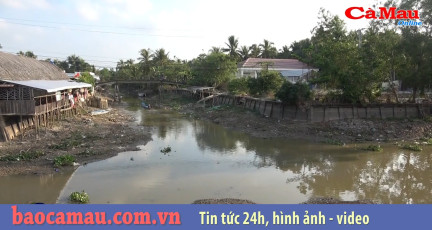 Bản tin báo Cà Mau điện tử ngày 14 tháng 02 năm 2020