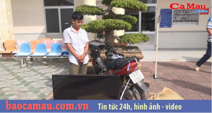 Cà Mau: Bắt đối tượng thực hiện nhiều vụ trộm trong đêm