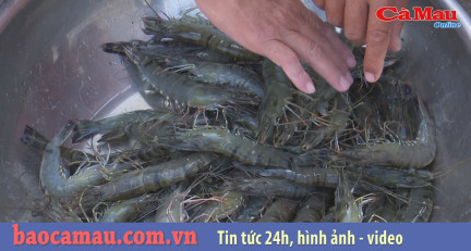 Cùng xã Phú Thuận xây dựng nông thôn mới