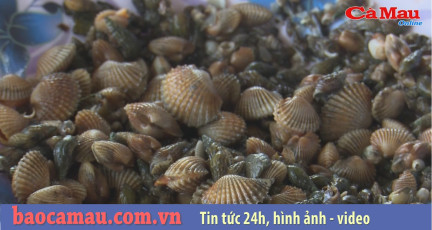 Bản tin báo Cà Mau điện tử, ngày 20 tháng 03 năm 2020