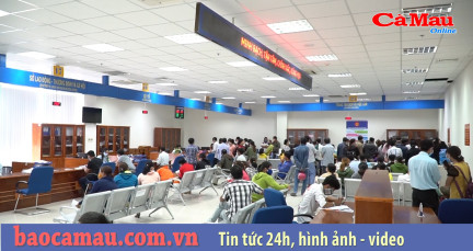 Bản tin Cải cách hành chính ngày 20 tháng 04 năm 2020