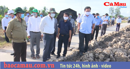 Chủ tịch UBND tỉnh Cà Mau Nguyễn Tiến Hải: Thu hồi ngay đất khu vực hành lang đê biển Tây bị lấn chiếm