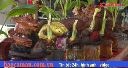 Tạo hình trên dừa bon sai