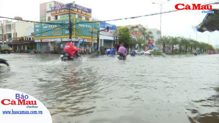 TP. Cà Mau: Mưa là ngập