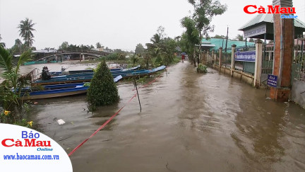 Cà Mau: Hiểm nguy trên những tuyến đường