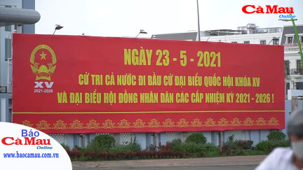 Bản tin báo Cà Mau điện tử, ngày 12 tháng 3 năm 2021