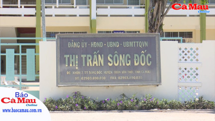 Bản tin báo Cà Mau điện tử, ngày 30 tháng 4 năm 2021