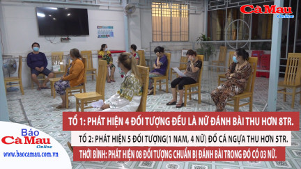 Cà Mau: Phát hiện nhiều vụ đánh bài, chơi cờ cá ngựa ăn tiền