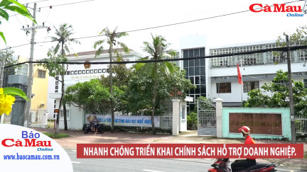 Nhanh chóng triển khai chính sách hỗ trợ doanh nghiệp