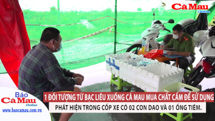 Từ Bạc Liêu xuống Cà Mau định mua chất cấm sử dụng thì bị bắt