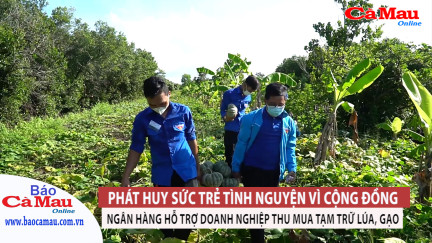 Bản tin báo Cà Mau điện tử, ngày 13 tháng 8 năm 2021